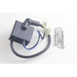 Süütepool hiina võrrile