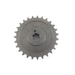 Tagumine hammasratas Muravei